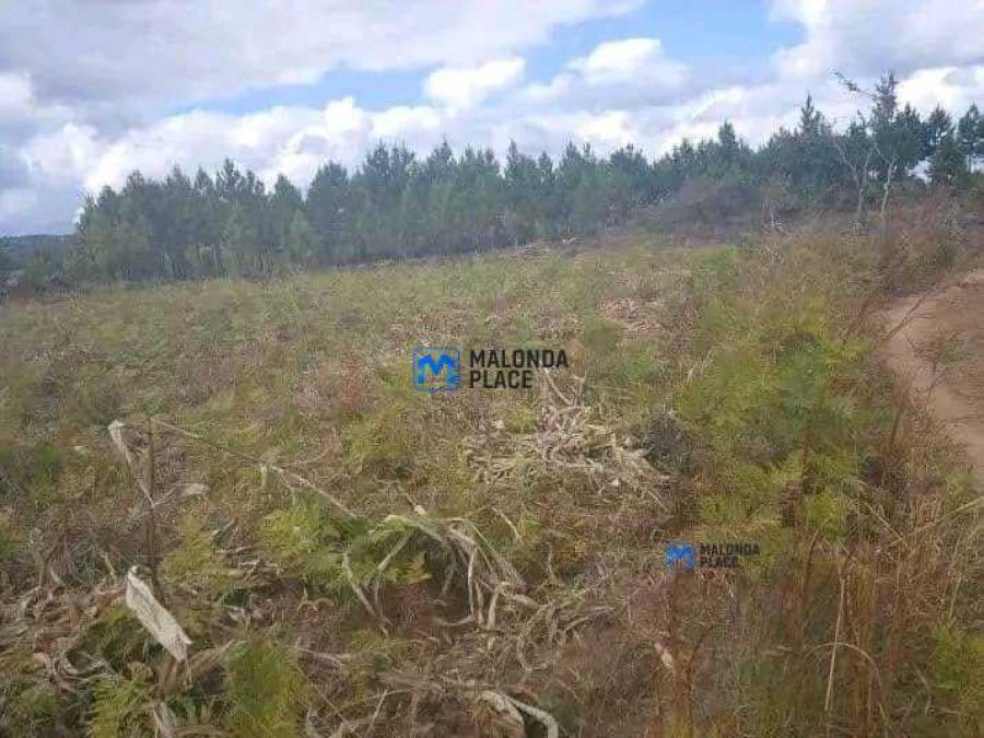 Land/Plot for sale