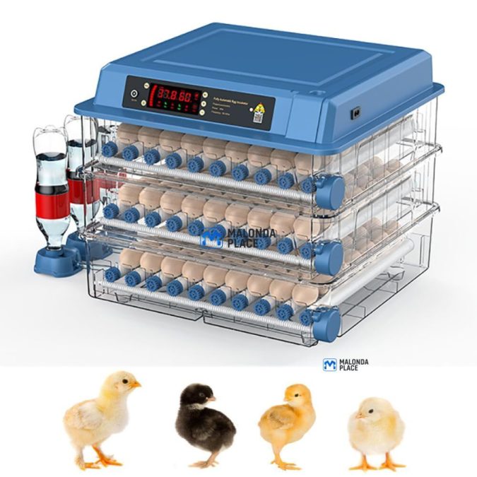 Automatic incubator