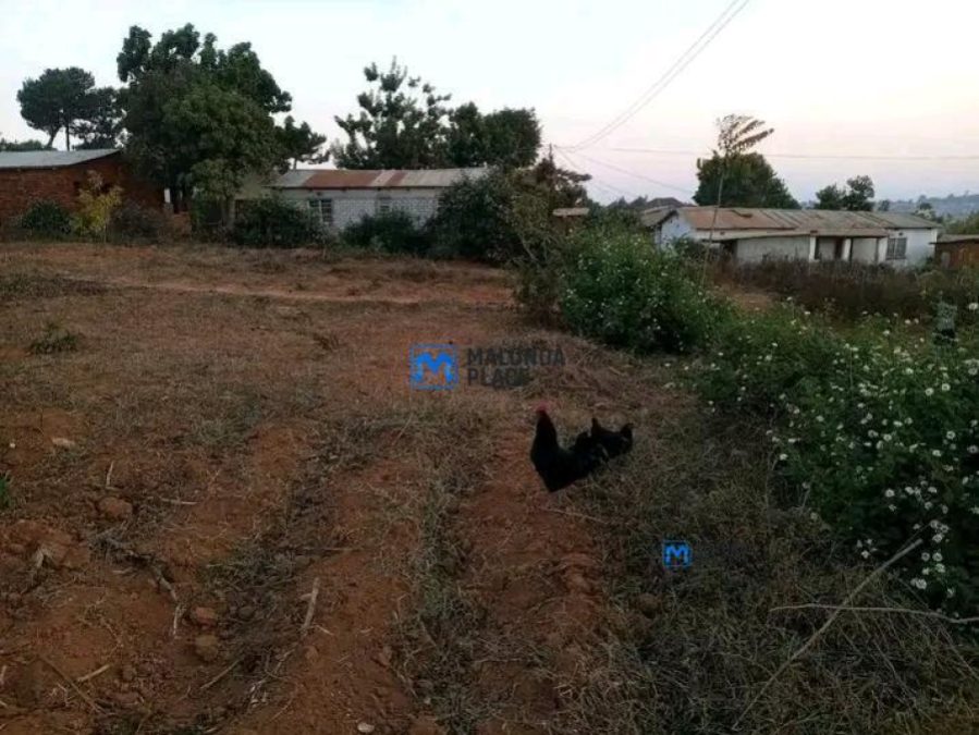 Plot for sale