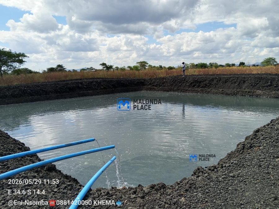 Fish Farming