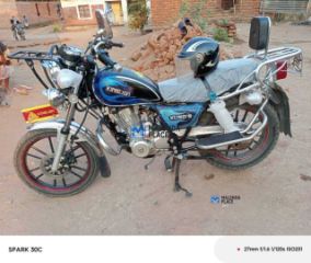 King lion for sale in Blantyre, Malawi