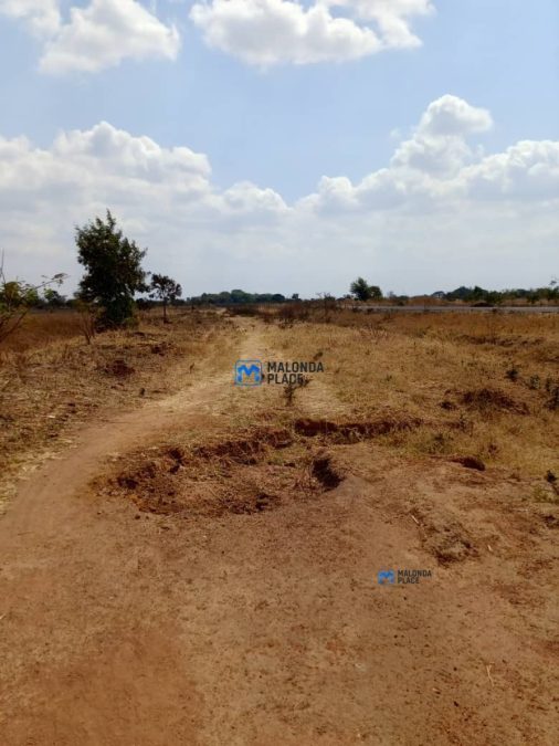 Farm for sale