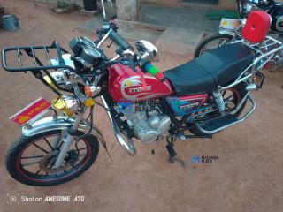 King lion for sale in Luwinga, Mzuzu, Malawi