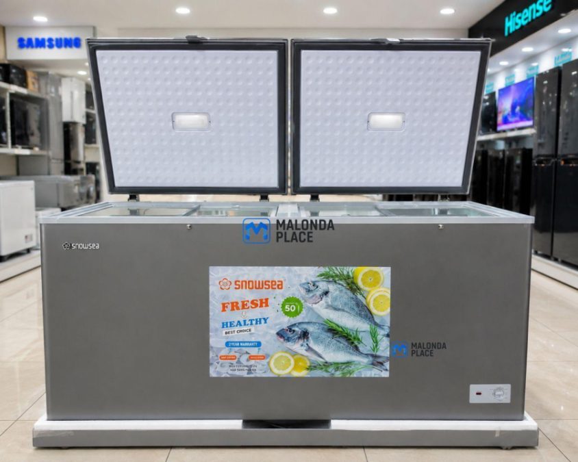 SNOWSEA FREEZER 550L Model BD55S