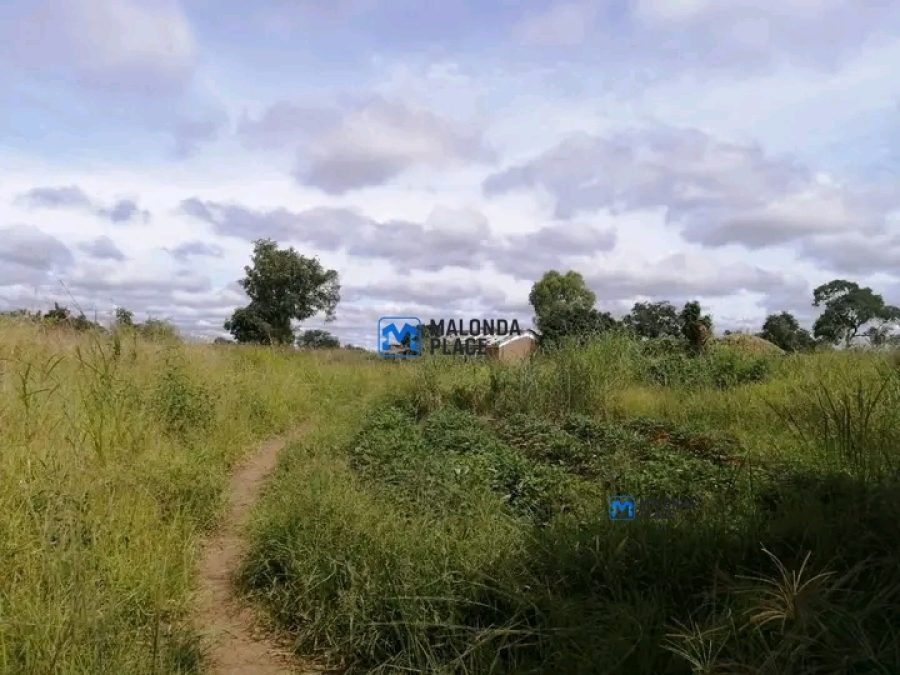 Farm land for sale
