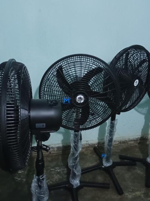 Fan