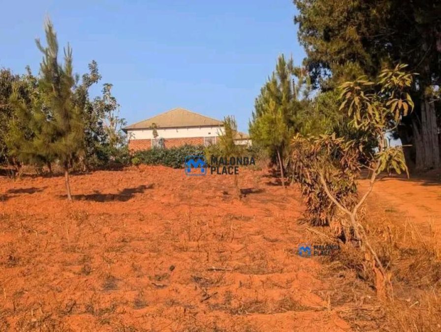 Plot for sale