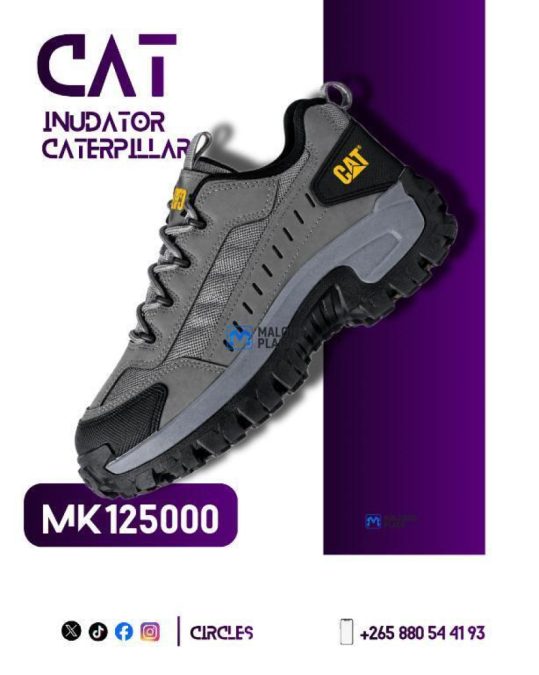 Caterpillar shoe