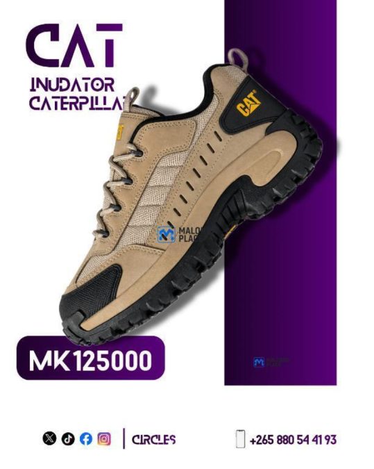 Caterpillar shoes