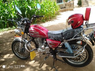 King lion for sale in Blantyre, Malawi