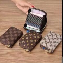 Accordion card holder wallet /  a zippered accordion