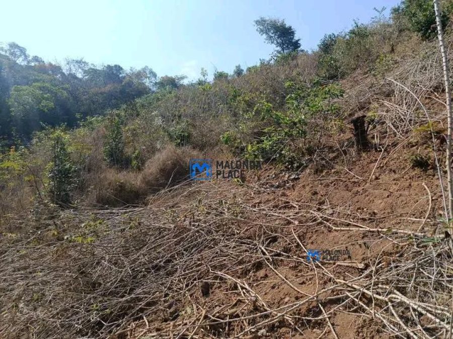 Farm land for sale