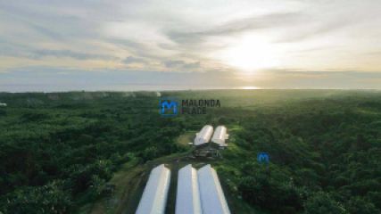 Modern Greenhouses for sale in Area 25/Nsungwi, Lilongwe, Malawi