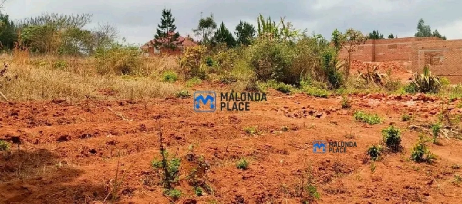 Plot for sale