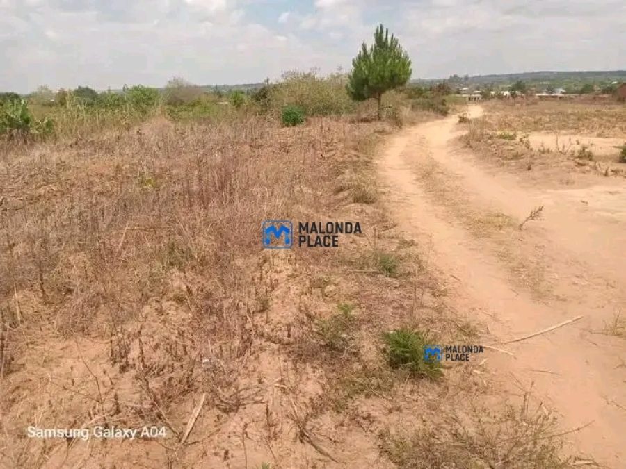 Plot for sale