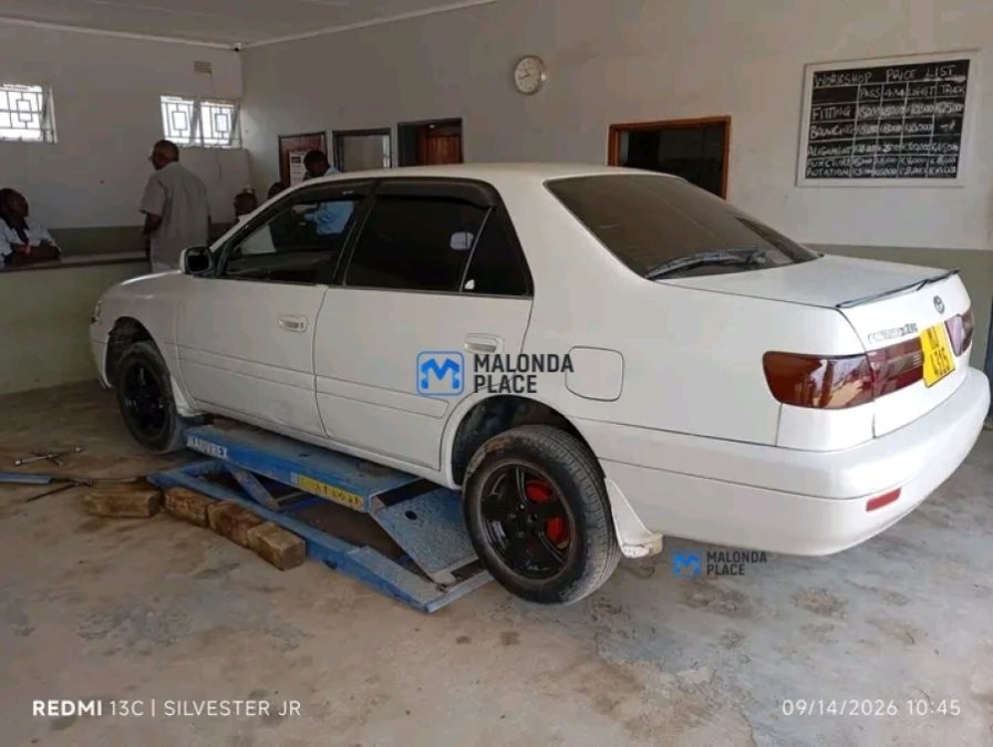 Toyota Corona primio