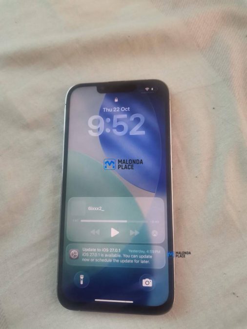 iPhone 13 Pro  iCloud free Storage 128 GB  Battery health 88 (replaced)