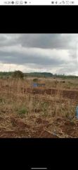 PLOTS FOR SALE- CHILEKA DAPP - Buy in Malawi