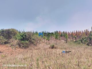 Farm for sale - Buy in Malawi