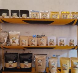 Affordable Gondolosi products- Fresh products from YERBA BUENA World - Buy in Malawi