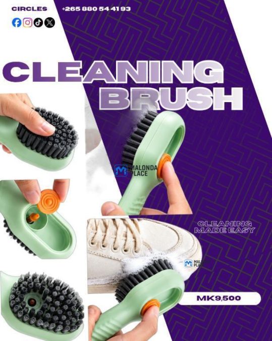 Cleaning brush