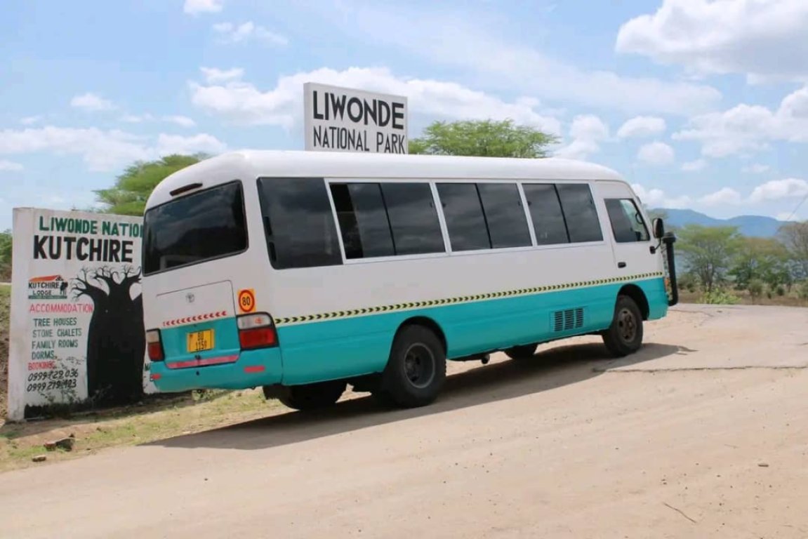 Car hire and Rental Services