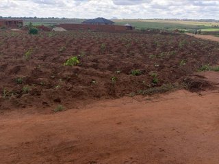 PLOT - For Sale in Lilongwe