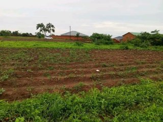 PLOT - For Sale in Lilongwe