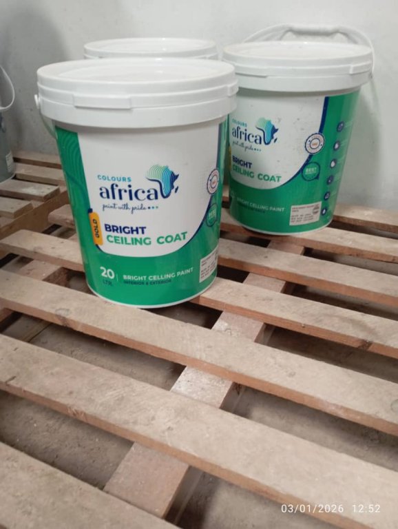 (20L)Ceiling Coat (White)