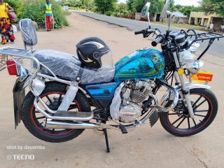 King lion for sale in Blantyre, Malawi