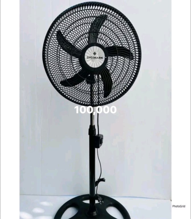 fan