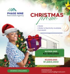 Christmass promo (15X30)