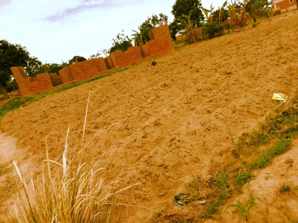 PLOT FOR SALE @ MZIMBA BOMA