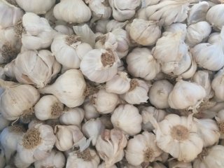 White Garlic(14K per kg) - Buy in Malawi