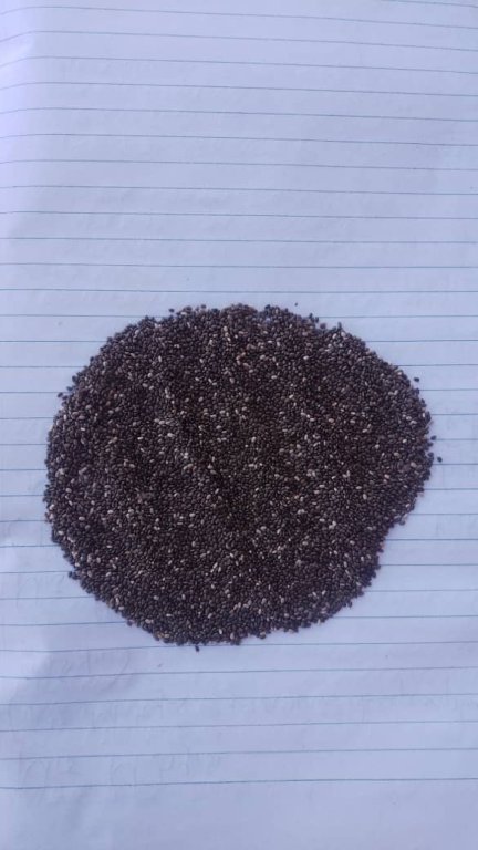 Chia seed in stock (22K per Kg)