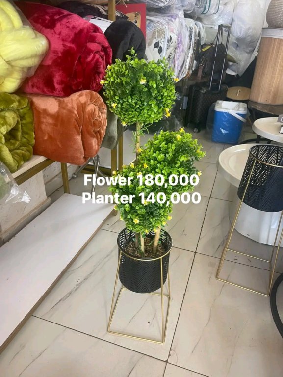 Flowér180,000 Planter 140,000