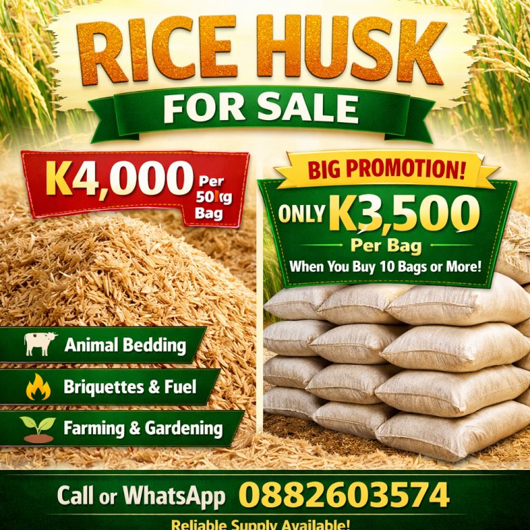Rice Husks