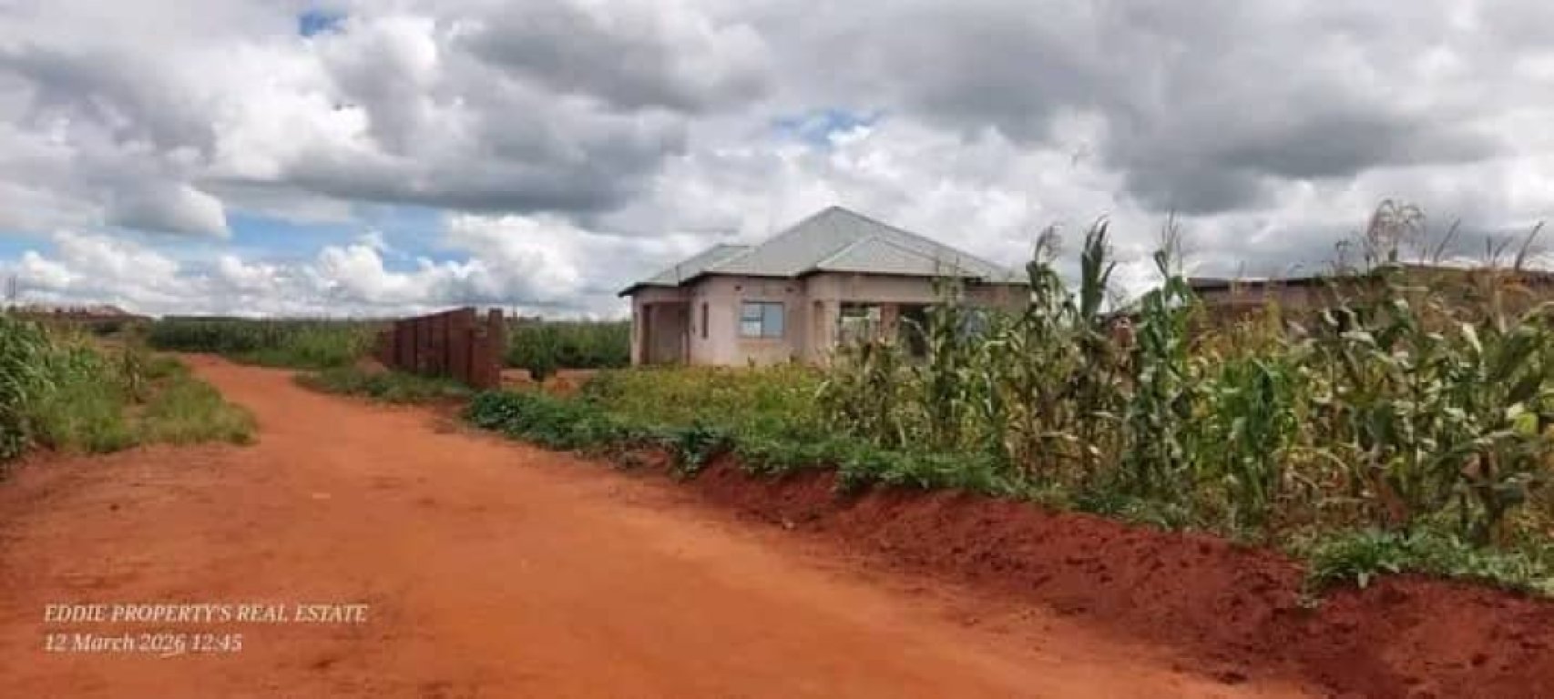 TWO PLOTS FOR SALE (14 Million Each)