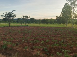 5 acres farmland - For Sale in Blantyre