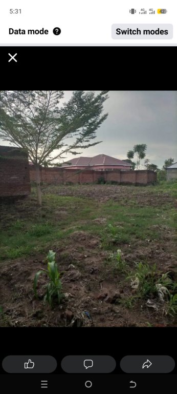 A very beautiful plot lunzu amazing grace residential area