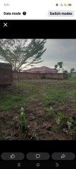 A very beautiful plot lunzu amazing grace residential area - For Sale in Blantyre