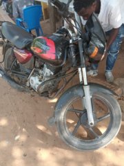 Boxer - For Sale in Mzuzu