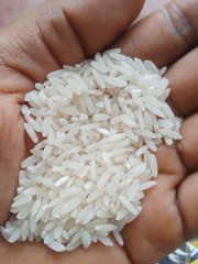 Super fire Rice - For Sale in Balaka