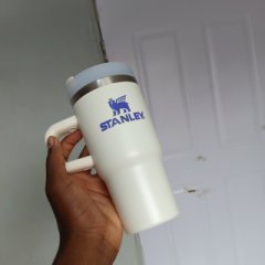 Stanley Steel Cups