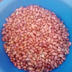 beans (5.5 per kg) for sale in Area 25, Lilongwe, Malawi