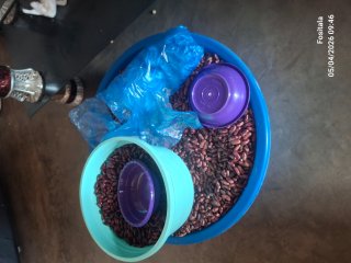 Selling beans at an affordable price