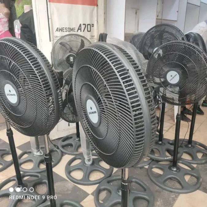 fan