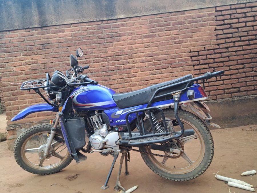 KING BOSS 8 Months old.