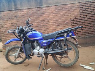 KING BOSS 8 Months old. for sale in Lilongwe,Chilinde., Lilongwe, Malawi
