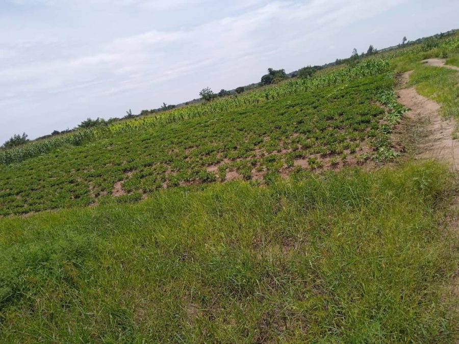 PLOT FOR SALE (15m by 30m )